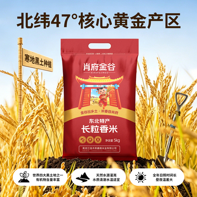 肖府金谷2025年东北大米长粒香米