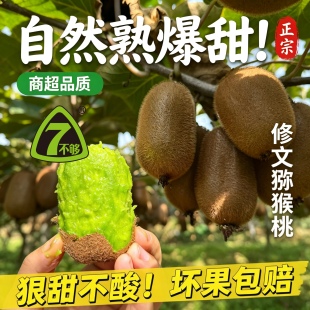 【12枚即食】修文贵长猕猴桃大果礼盒装