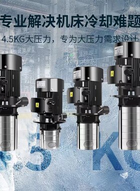 CDL数控机床高压水泵多级离心泵液下立式加工中心不锈钢 车床油泵