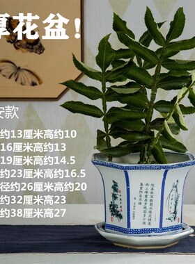 特大号加厚景德镇高温陶瓷花盆青花广口高深盆树盆花钵室内外落地