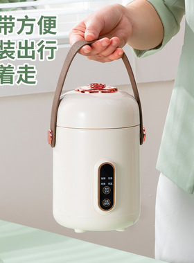 小电炖锅煮粥家用多功能辅食锅电炖盅迷你便携宿舍煲汤熬粥电炖杯