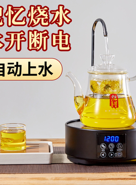 自动下水电陶炉小号迷你光波炉圆形煮茶器电炉茶具玻璃壶泡茶茶炉