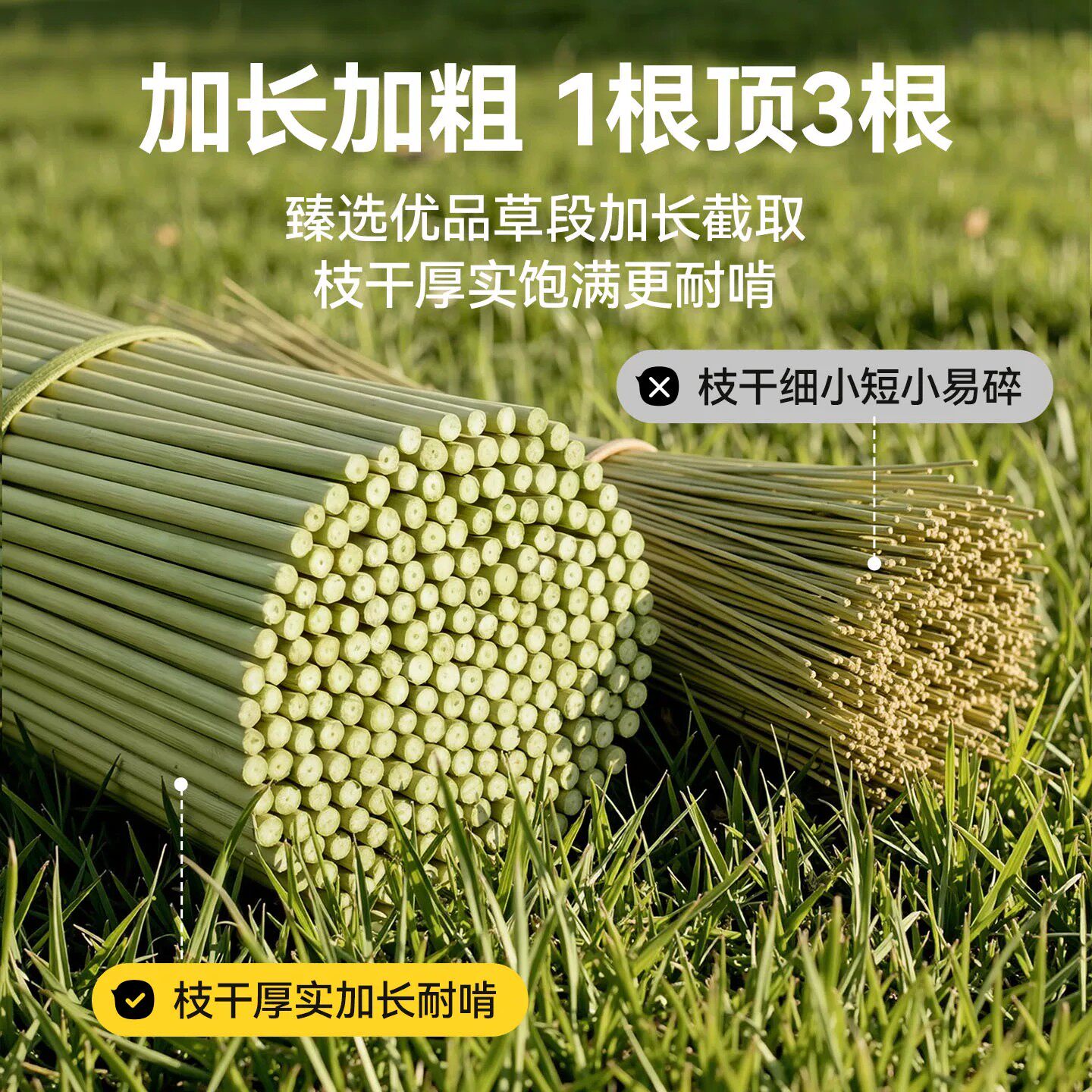 Natural Asparagus Parrot Teething Stick Toy