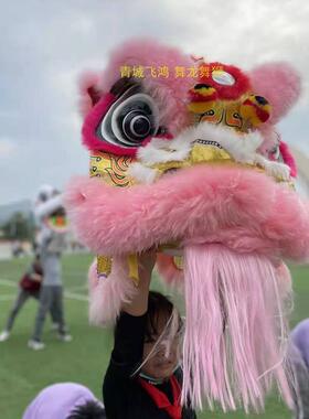 儿童舞狮雄狮少年狮头 南狮双人醒狮适用10-15岁 广东产地舞狮装