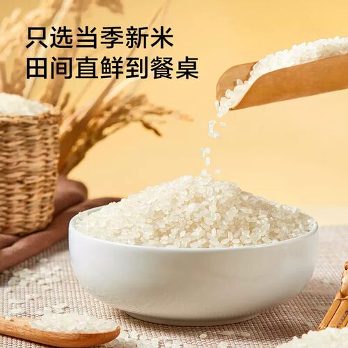 清灏盘锦蟹田米500g当季新米小包装 - 图3