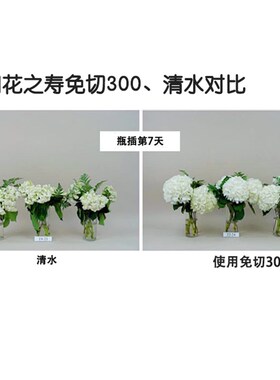进口花之寿免切300催开粉剂小袋400袋鲜花保鲜剂粉剂家用养花养料