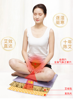 艾绒电加热坐垫椅子垫背靠一体办公室久坐智能温控秋冬加厚款护腰