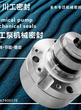 化工泵集装式机封 IJ80-50-200-PK\IJ100-65-200-PK 机械密封自贡