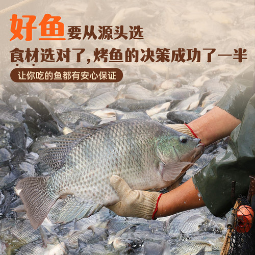 【陈洁99大促】小嗨妖罗非烤鱼水煮鱼3袋一鱼两吃快手菜半成品 - 图0