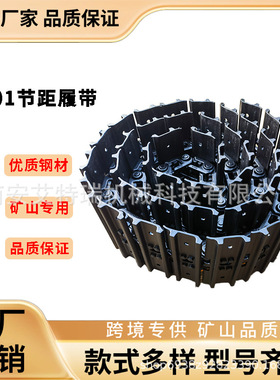 挖掘机101节距链条小型底盘履带总成配件履带底盘