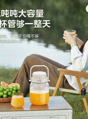 美的便携式无线榨汁杯果汁机1L
