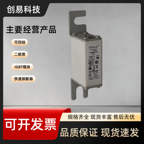 170M1308 170M1309 170M1310 170M1311 170M1312熔断器170M系列 - 图2
