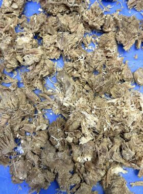 W肉松机打丝机器熟肉熟肉拆丝机牛肉鸡肉肉松加工机器现货可试机