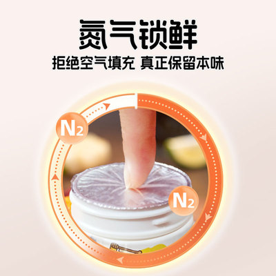 彼的大厨儿童奥尔良烤翅腌料
