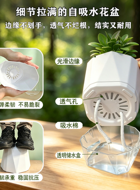 简约现代自吸水透气花盆透明创意