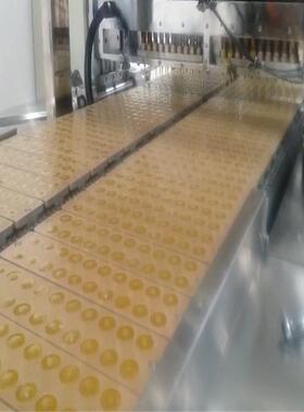 攀达机械150排浇注机用铝合金喷涂泰富龙软糖硬糖糖果模具