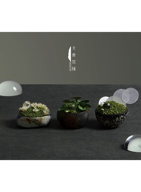 天青苔绿 玛瑙永生苔藓花艺青苔摆件 定制样板间酒店会所客厅饰品