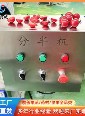 全自动辣椒土豆果蔬分半机不锈钢番茄分两半机器输送式甜椒切半机