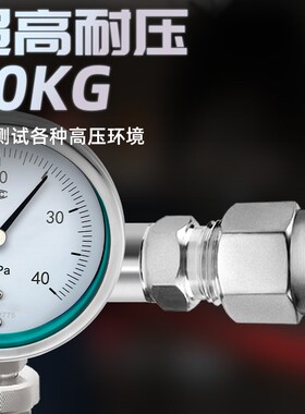 304不锈钢卡套接头直通终端外螺纹铜管式仪表气源快速插锁连接件