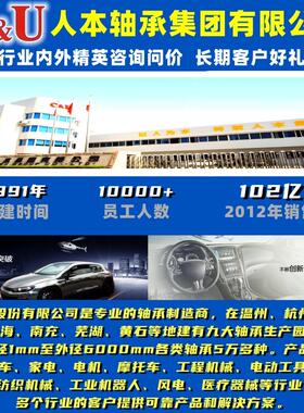 人本O型圈防震防滑卡簧止动槽轴承AC6201 6202 6203 6004 6204RS