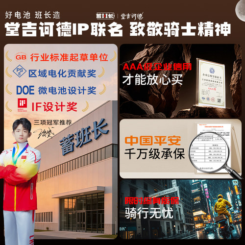 蓄班长电动车锂电池国轩磷酸铁锂72v60v48v外卖电瓶两轮电摩九号 - 图1
