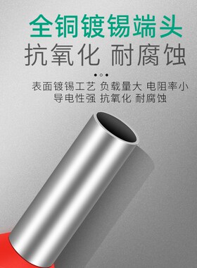 TE双线管型预绝缘接线端子压线端头针管形冷压铜鼻子双0.5-16平方