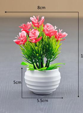 仿真绿植迷你小盆栽蝴蝶兰塑料花盆景室外景观花草坛绿植成品假花