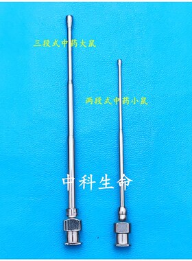 德国小鼠灌胃针灌胃器鼠针8号12号16号大鼠灌胃针直针弯针不锈钢