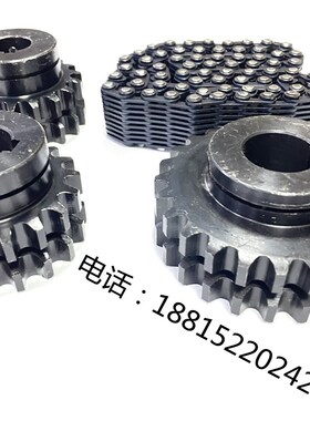 厂家直销 M1080B无心磨床配件电机链轮链条无锡机床厂 险峰机床厂