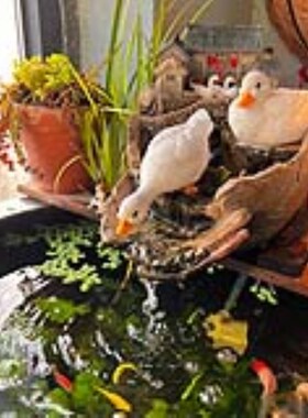 小鸭子戏水鸭子摆件古法养鱼流水装饰品水循环过滤增氧气水缸动物