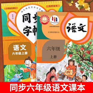 人教版六年级上下册练字帖