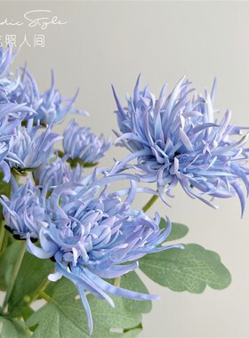 蟹爪菊仿真花设计师菊花假花烟火菊摄影道具婚姻花材家居装饰摆件