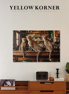 YELLOW KORNER法国原装进口《Wild Night Out》客厅挂画装饰画