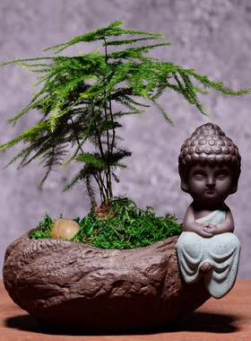 文竹创意陶瓷禅意小佛花盆土培容器桌面摆件绿植盆栽多肉植物盆栽