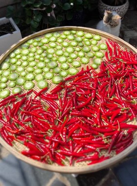 竹编制品大全家用簸箕细孔茶叶簸箕镂空日式编织圆米筛装饰竹圈