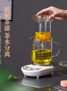 全玻璃养生壶家用多功能电热玻璃水杯花茶壶办公室迷你小型煮茶器