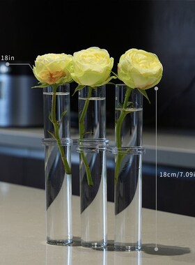 一排试管花瓶鲜花绿植水培玻璃花瓶创意网红花架家居摆件可折叠
