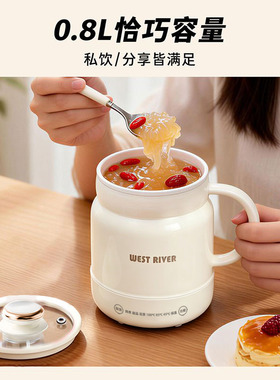 韩国电炖杯恒温保温陶瓷釉内胆煮火锅多功能便携电饭煲