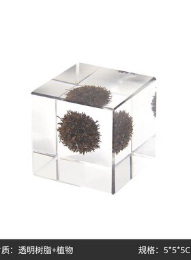 现代简约植物标本立方体树脂小摆件样板间茶几酒柜创意装饰品