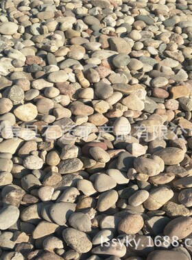 大量供应河卵石 自然鹅卵石 园林建设造景变压器滤料专用河卵石