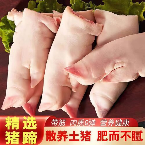 【中秋特惠】新鲜猪蹄带筋整只猪脚生鲜猪蹄子散养猪手前蹄批发 - 图0