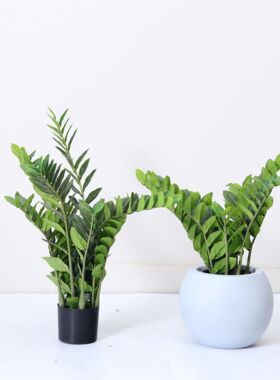 仿真绿植金钱叶盆栽室内客厅家居落地装饰摆件尤加利仿生植物盆景