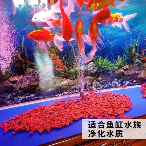 火山石颗粒腾冲精筛乳酸性天然火山岩多肉山乌龟铺面鱼缸水族造景 - 图2