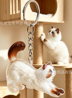 DIY高透猫毛纪念盒钥匙扣