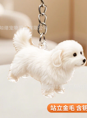 柴犬专属毛发收纳钥匙扣密封防尘储存小狗绒毛随身毛孩纪念挂件