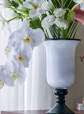 花瓶摆件客厅插花高级感水培富贵竹玻璃花盆透明水养落地水晶艺术