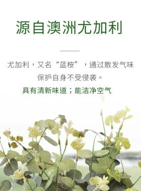 嘉媚乐澳洲尤加利精油官方旗舰店