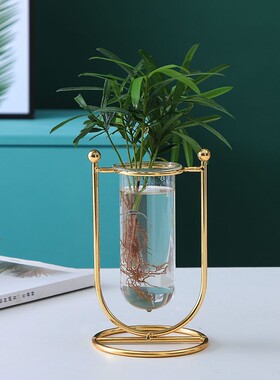 北欧轻奢铁艺花器玻璃试管花插桌面水培植物花瓶金属摆件装饰品
