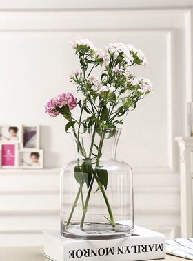 百合水培插花餐桌百搭富贵竹玻璃花瓶装饰透明客厅高
