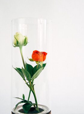 直筒花瓶北欧桌面摆件房花花插花器形玻璃黄铜圆柱寄然实木底座
